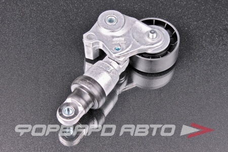 Купить Натяжитель ремня JIKIU TN25003