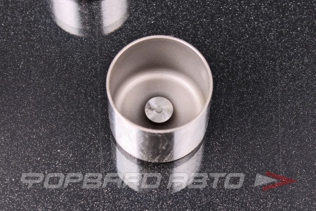 Купить Толкатели клапанов Supertech CNC Nitrided Supra 2JZ-GE 2JZ-GTE 5.40mm Shimless Bucket Set 68HRc 990 Vickers RSP RS02-0005 Купить Толкатели клапанов Supertech CNC Nitrided Supra 2JZ-GE 2JZ-GTE 5.40mm Shimless Bucket Set 68HRc 990 Vickers RSP RS02-0005