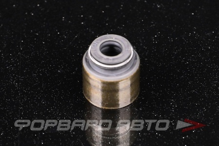 Купить Колпачок маслосъёмный NOK BV3961-F0