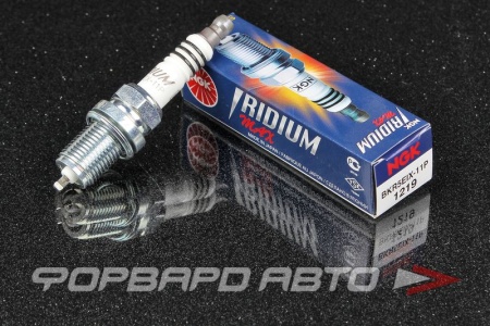 Купить Свеча зажигания NGK 1219
