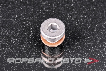Купить Пробка сливная 10*1,0 раздаточной коробки VAG N90 281 802