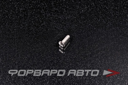 Купить Винт полупотай/гл. прямой шлиц М3*10 А2  