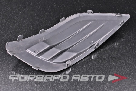 Купить Заглушка противотуманной фары LADA 8450000251