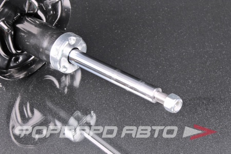 Купить Амортизатор передний, левый MILES DG111015-01