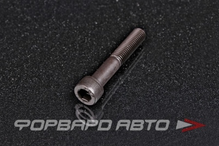 Купить Винт цилиндр. с внутренним шестигранником М10*1,5*50  