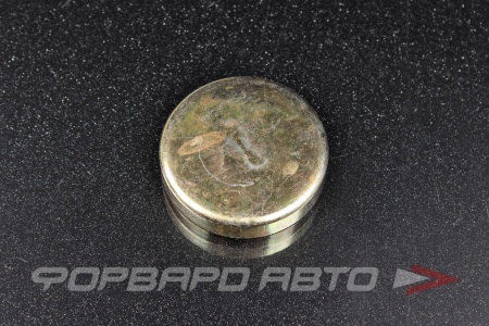 Купить Заглушка блока двигателя WPB-40мм  