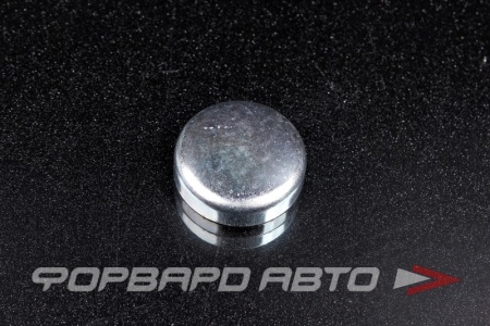 Купить Заглушка блока двигателя WPw-32мм  
