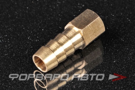 Купить Штуцер F1/8" елочка 10мм SINPPA SFFHS02/06