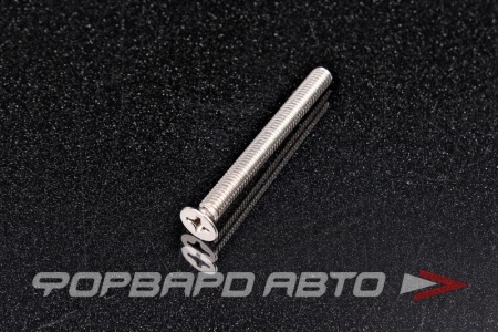 Купить Винт потай крест-шлиц М6*60 DIN965 A2 нерж.  