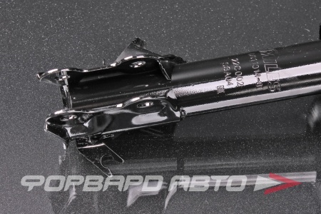 Купить Амортизатор передний, левый MILES DG11014-01