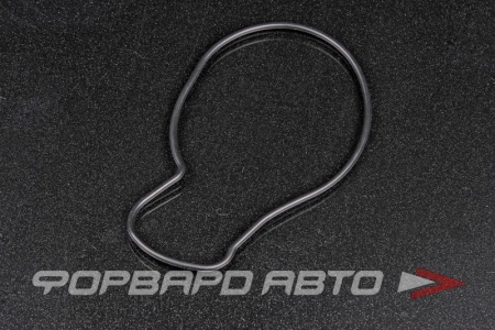 Купить Прокладка насоса системы охлаждения THG 19222-PNA-003