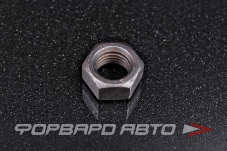 Купить Гайка высокопрочная М16*2 DIN 934 кл. 10  