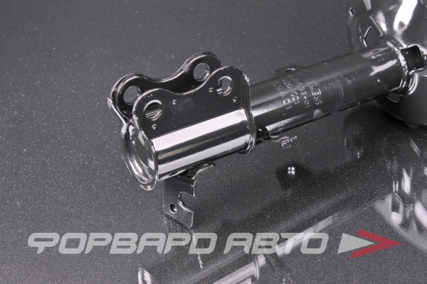 Амортизатор задний, правый MILES DG21039-01