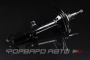 Амортизатор задний, правый MILES DG21069