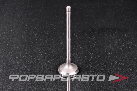 Купить Клапан выпускной N-ROCKY FB-25-0