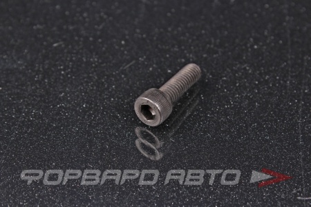 Купить Винт цилиндр. с внутренним шестигранником М6*20 DIN912 высокопр. пр.12,9  DIN912