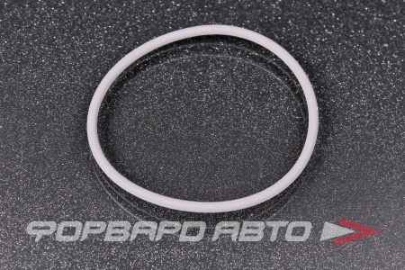 Купить Кольца уплотнительные BMW 11 66 7 509 080