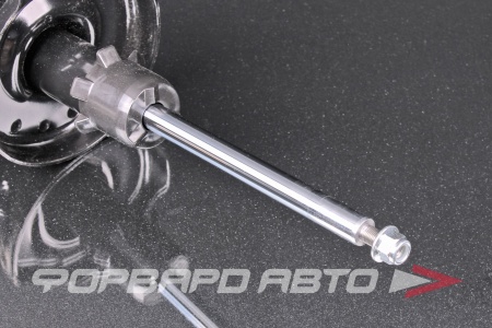 Купить Амортизатор передний, правый MILES DG21684