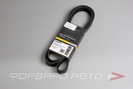 Купить Ремень поликлиновой CARBERRY 6PK1893