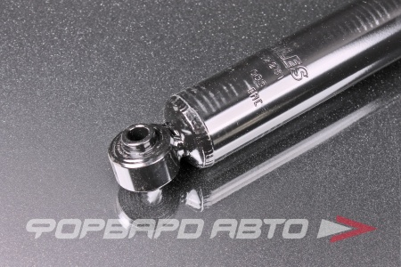 Купить Амортизатор задний MILES DG02281