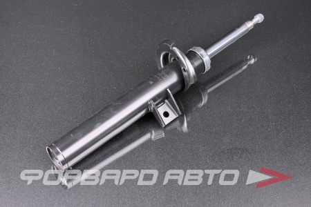 Купить Амортизатор передний, левый MILES DG11809-01