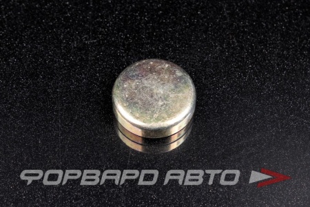 Купить Заглушка блока двигателя WPM-30мм  