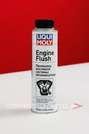 Купить Промывка двигателя 5-ти минутная "Engine Flush", 300 мл. LIQUI MOLY 2678