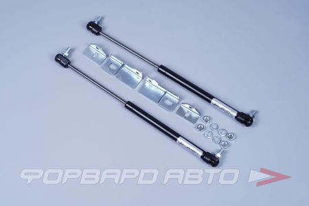 Купить Амортизатор капота для автомобиля ВАЗ 1118-2190, 2шт. (с крепежом) Тольятти T0000112385