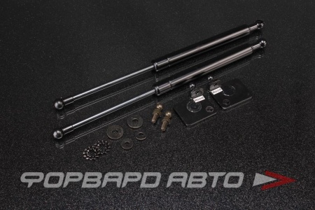 Купить Амортизаторы капота MAZDA Tribute AUTOBAHN88 