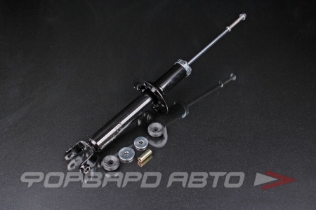 Купить Амортизатор задний MILES DG02457-01