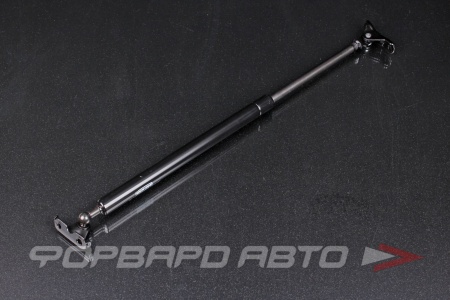 Купить Амортизатор задней двери TOYOTA CALDINA (T19#) 1992-1997 (левый) LH NAKAYAMA GS824NY