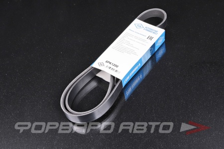 Купить Ремень поликлиновой SUN 6PK1200 Купить Ремень поликлиновой SUN 6PK1200