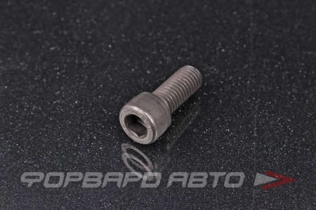 Купить Винт цилиндр. с внутренним шестигранником М10*1,5*25 DIN912 высокопр. пр.12.9  00025876