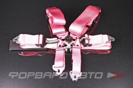 Купить Ремни 6-ти точечные, 3" FIA 8853-2016 (до 2028 года) розовый RAEMCO C-06PK-AL