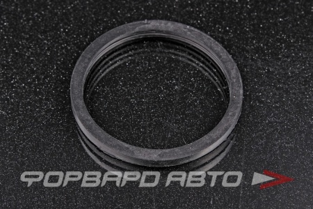 Купить Прокладка термостата (48мм) GENERAL MOTORS 94580530