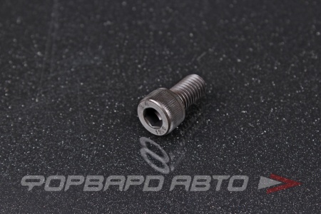 Купить Винт цилиндр. с внутренним шестигранником М8*1,25*16 DIN912 высокопр. пр.12,9  