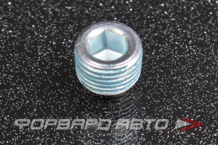 Купить Заглушка блока метал 1/8" SUBARU 15027-AA133