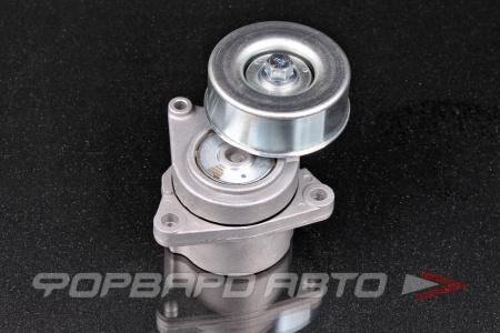 Купить Натяжитель приводного ремня (Nissan X-Trail, Teana) MILES AG00224