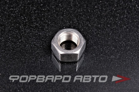 Купить Гайка шестигранная М16*2 нерж. DIN 934 MELCO 