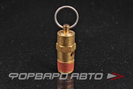 Купить Клапан предохранительный 1/4" PT THB 