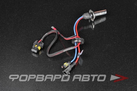 Купить Лампа ксенон H7 5000K AMP Китай 
