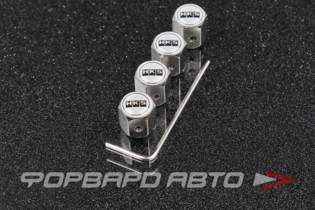 Купить Колпачок вентиля колеса HKS с шестигранником (не для алюминиевого ниппеля) MELCO TB279