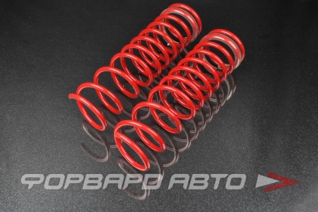 Купить Пружины задние ВАЗ 2108-2110, 1117-1119, 2170, 2190 (занижение -70мм) Racing SS20 SS30141