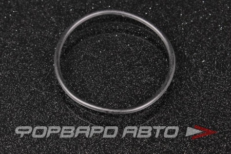 Купить Кольцо уплотнительное BMW 31 51 1 213 527