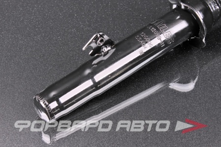 Купить Амортизатор передний, левый MILES DG12099-01