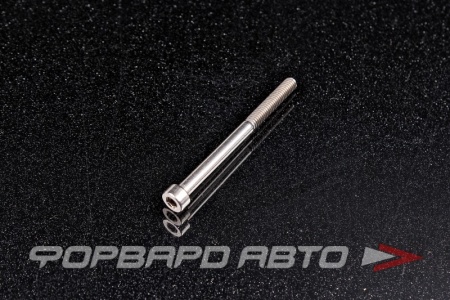 Купить Винт цилиндр. с внутренним шестигранником М4*50 DIN912 A2 нерж  