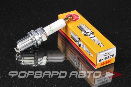 Купить Свеча зажигания NGK 4293