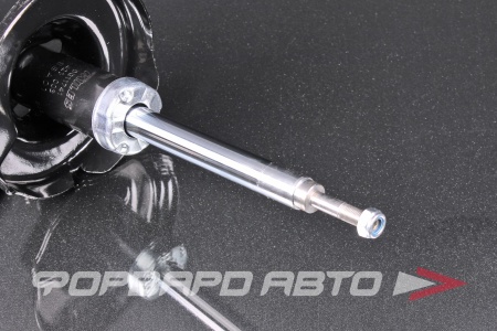 Купить Амортизатор передний, левый MILES DG11741