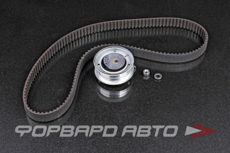 Купить Комплект ремня ГРМ INA 530 0171 10