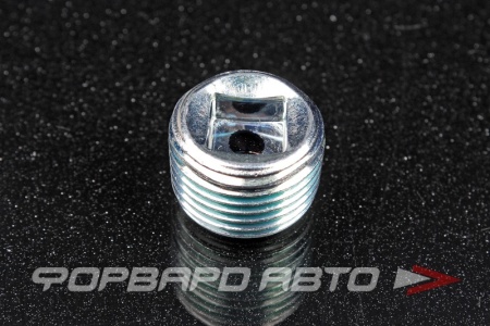 Купить Пробка сливная 21*1,75 масляного поддона SUZUKI 09246-16021